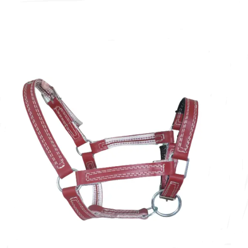 Кожаный недоуздок для телят (Украина)