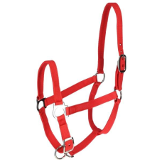 Невузлик для корів червоний, Німеччина