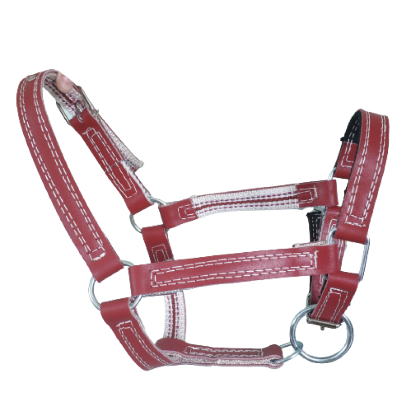 Шкіряний недоузок для телят (розмір 1) Шкіряний недоузок для телят (розмір 1)