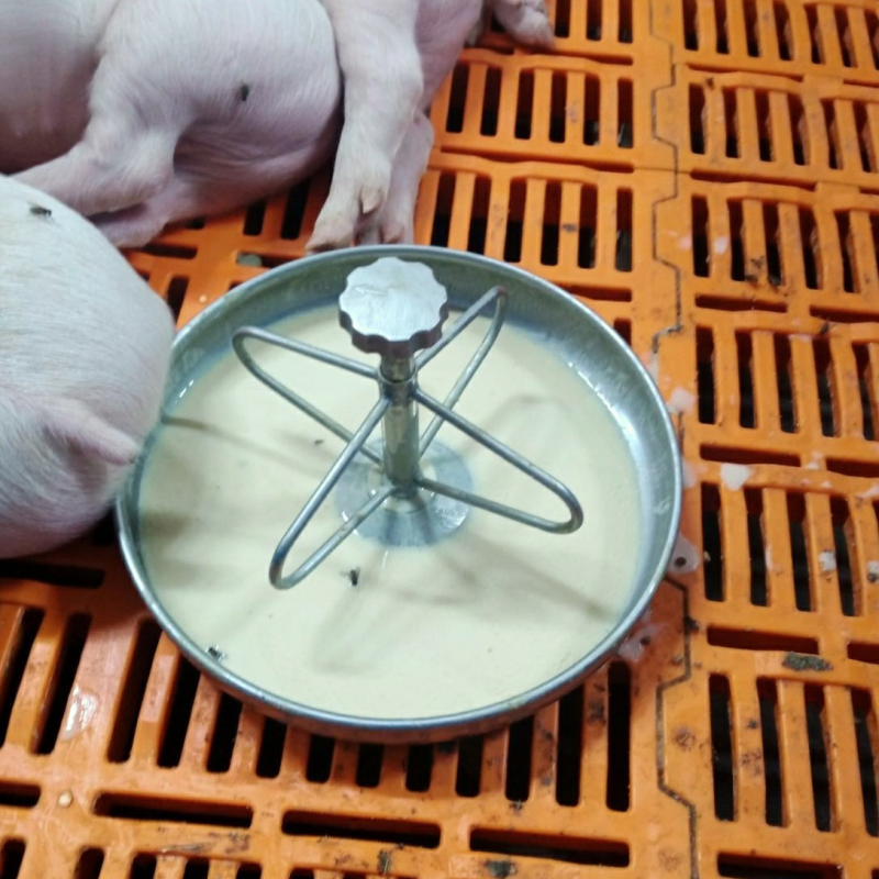 Мисочная годівниця для підсисних поросят з нержавіючої сталі 3.5 л.