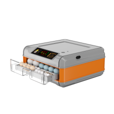 Інкубатор автоматичний Птаха 60 - OR (220/12 в)