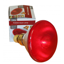 Лампа для обігрівання поросять PAR38 175W