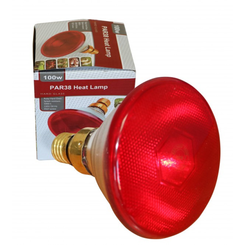 Лампа для обігрівання поросять PAR38 175W Лампа для обігрівання поросять PAR38 175W