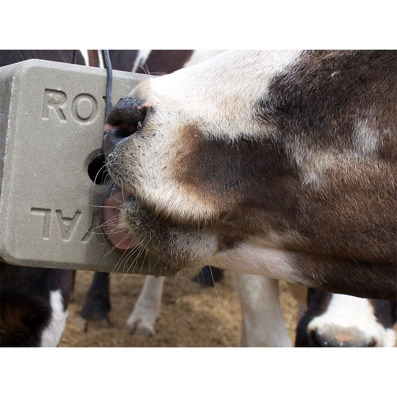 Сіль-лизунець CALPHOS BLOCK 10 кг