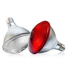 Інфрачервона лампа Inter Heat PAR38 175W білого кольору