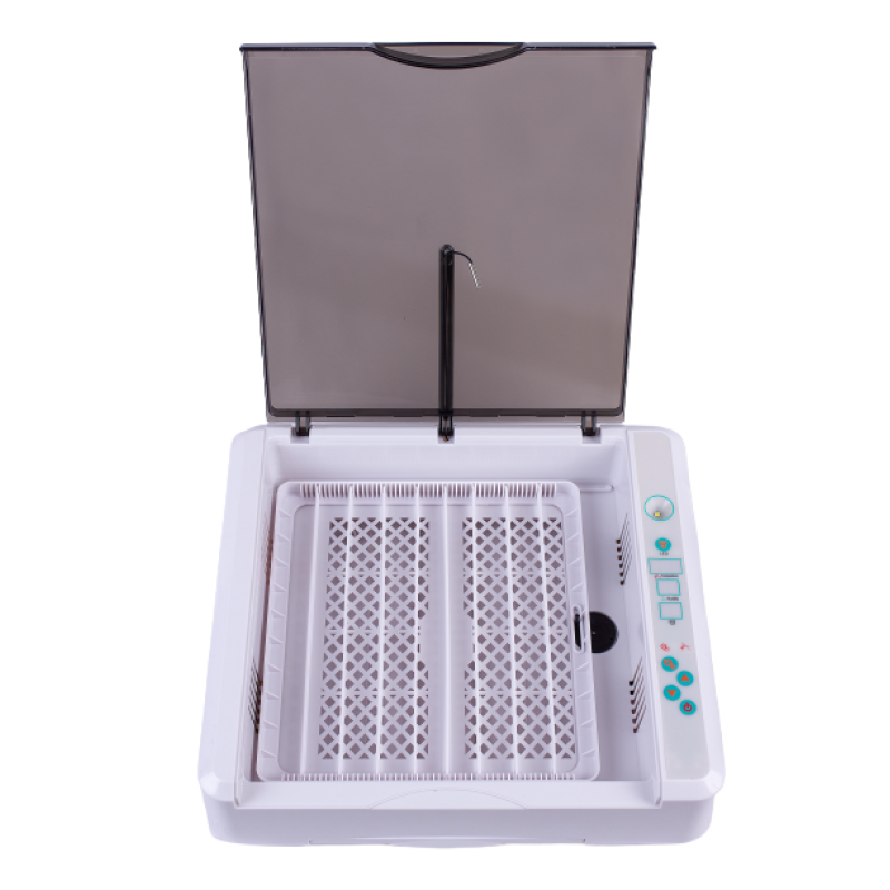 Інкубатор автоматичний HHD 36