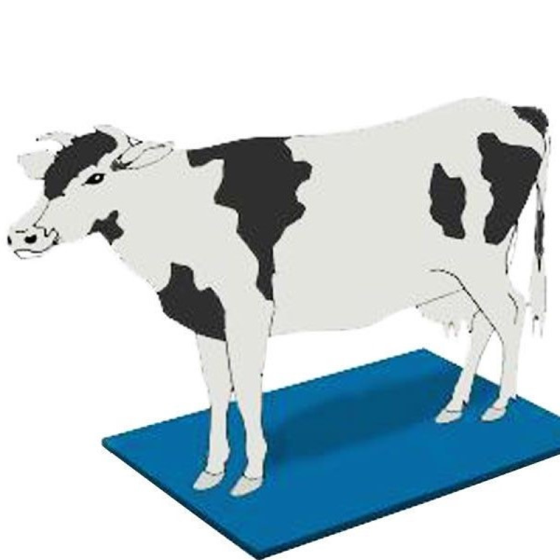 Дезківрик ветеринарний завтовшки 60 мм розмір 100х200 см Дезківрик ветеринарний завтовшки 60 мм розмір 100х200 см